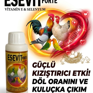 ESEVIT FORTE - Kızıştırıcı Kızgınlaştırıcı Döl Oranı ve Yumurta Artırıcı
