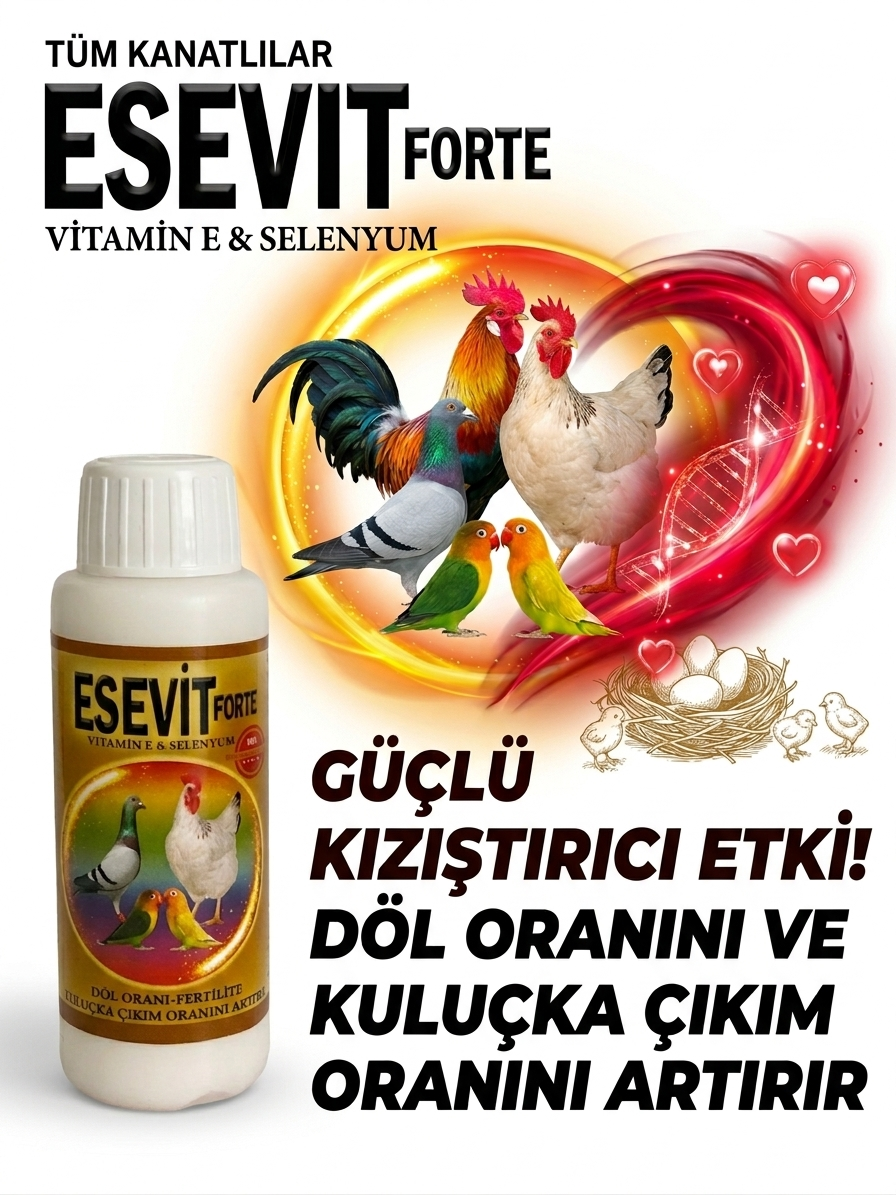 ESEVIT FORTE - Kızıştırıcı Kızgınlaştırıcı Döl Oranı ve Yumurta Artırıcı