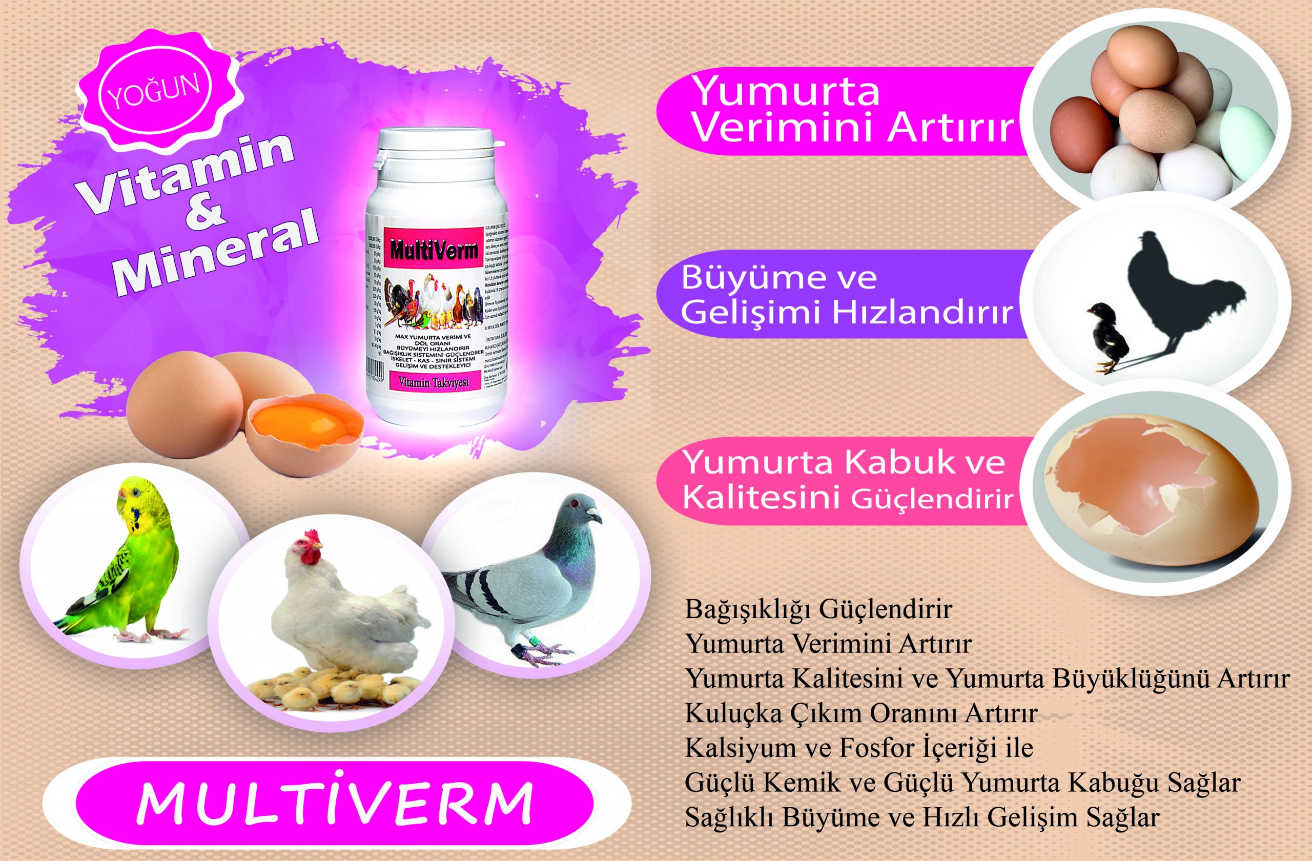 Multiverm - Gelişim Büyüme Yumurta Verimi Artırma Multivitamin - Görsel 2