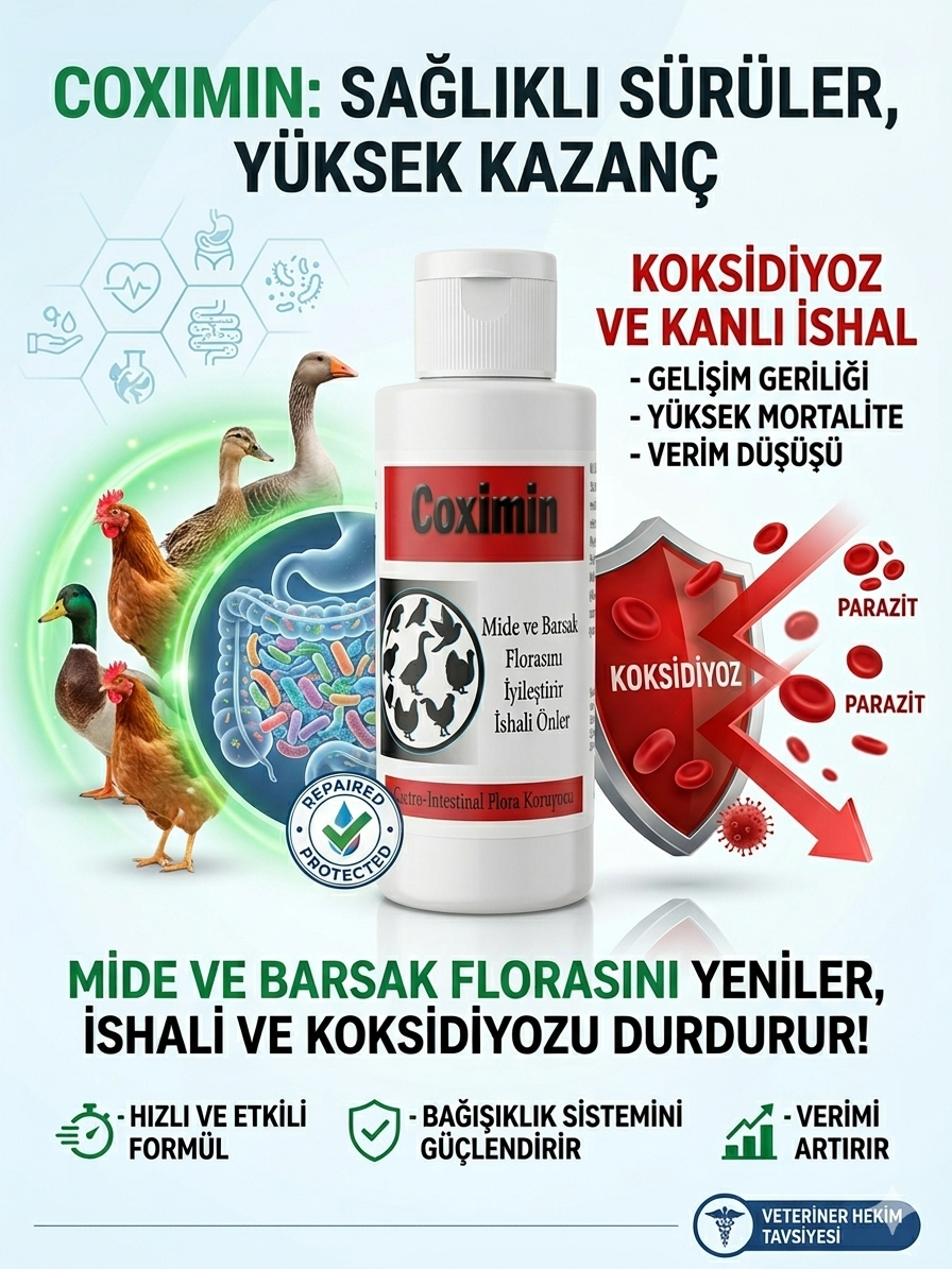 COXİMİN - Kanlı İshal Koksidiyoz