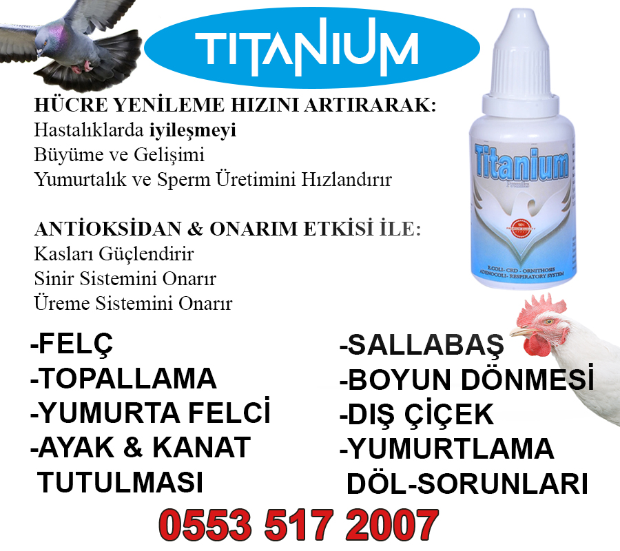 TİTANİUM - Görsel 2