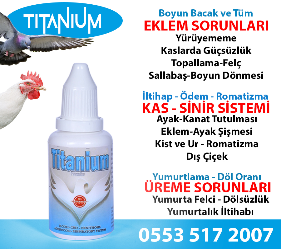 TİTANİUM - Görsel 4