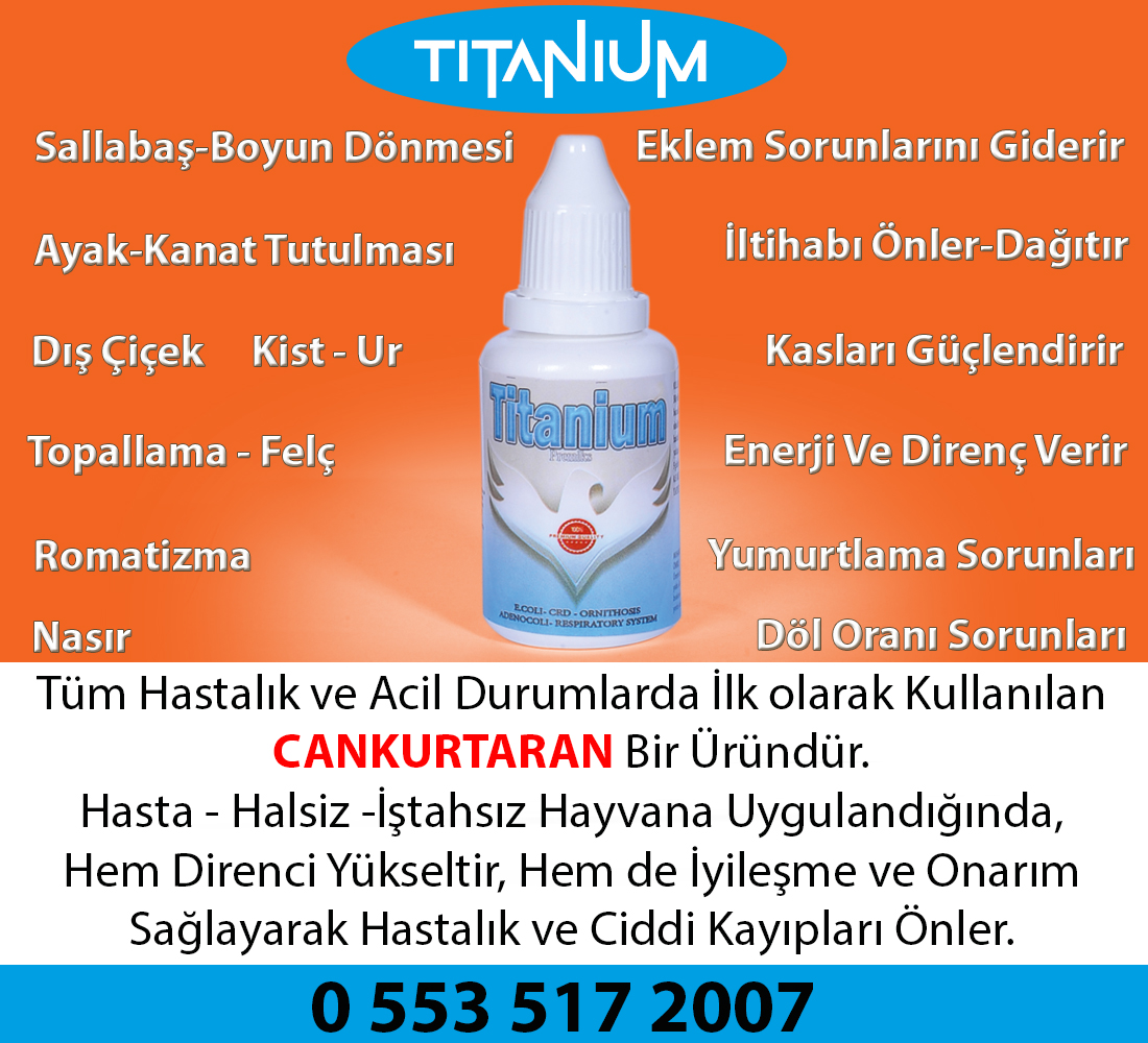 TİTANİUM - Görsel 3