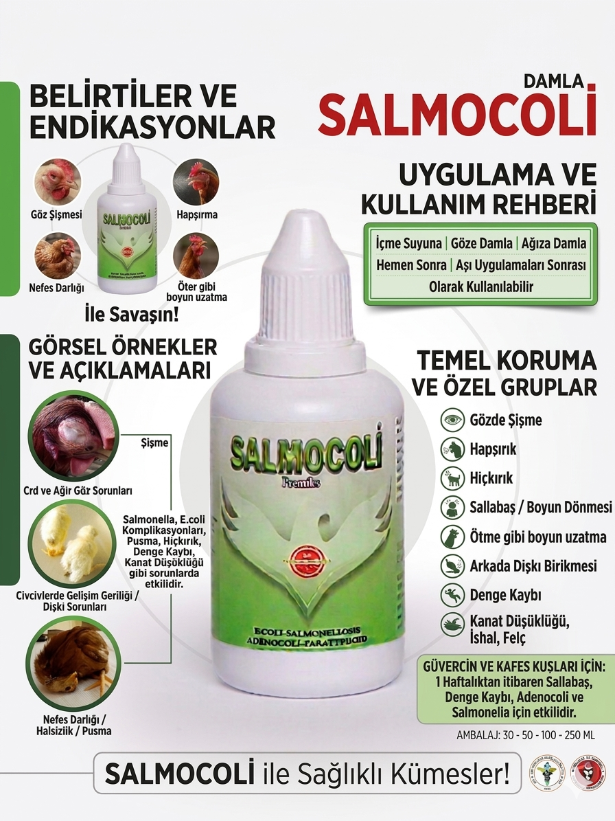 SALMOCOLİ - Görsel 2