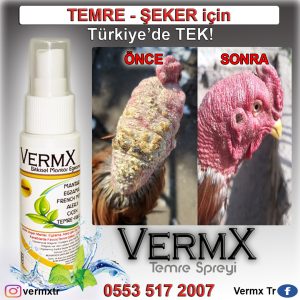 Vermx Mantar Temre Şeker Spreyi