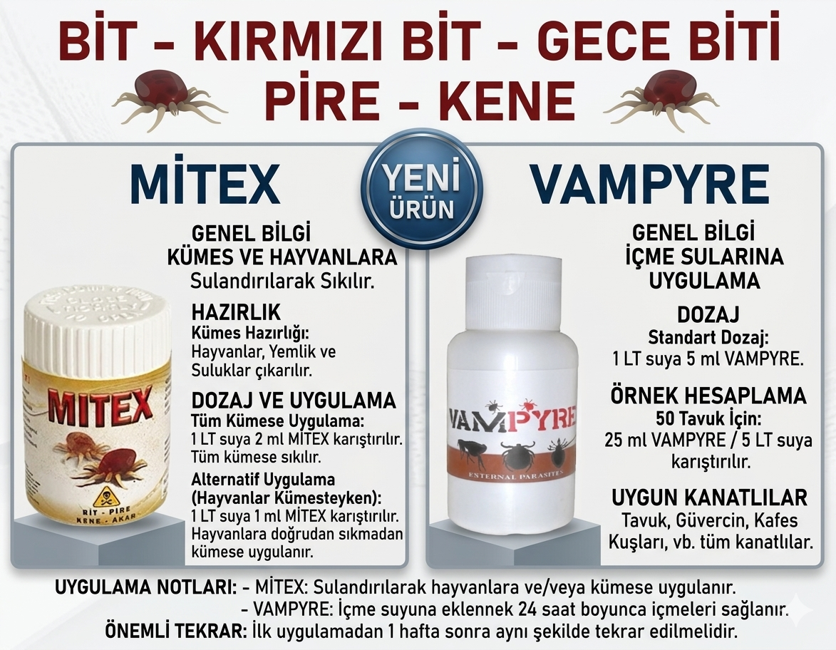 Dış Parazit - Bit Gecebiti Kırmızı Bit - Görsel 4