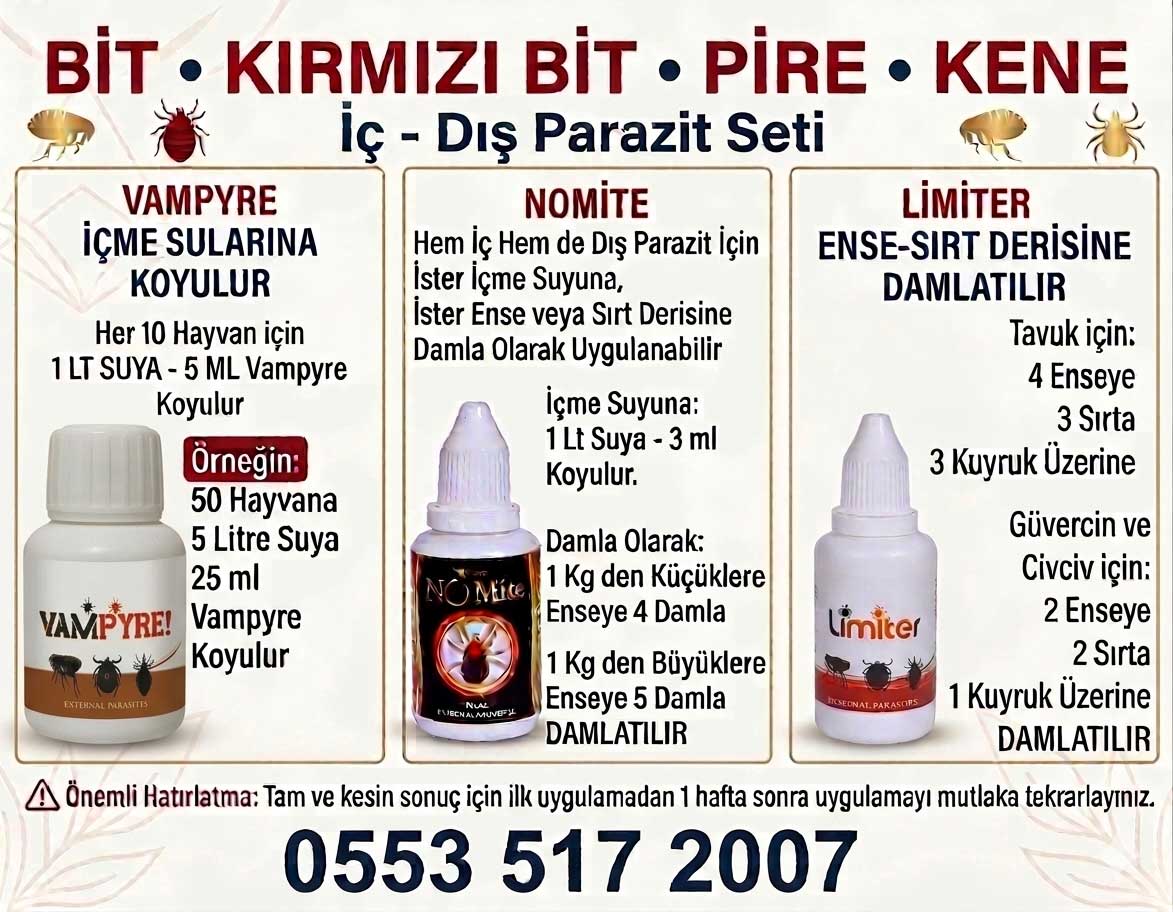 Dış Parazit - Bit Gecebiti Kırmızı Bit - Görsel 5