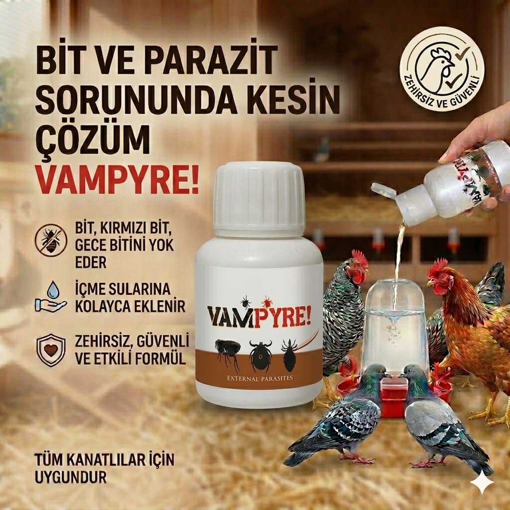Dış Parazit - Bit Gecebiti Kırmızı Bit