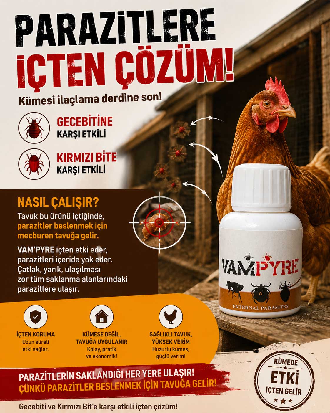 Dış Parazit - Bit Gecebiti Kırmızı Bit - Görsel 3