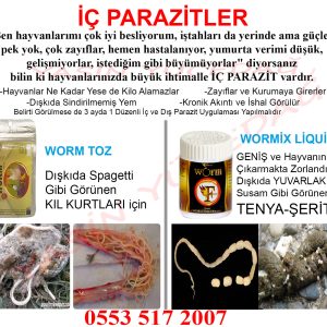 Wormix Liquid - 30 ml