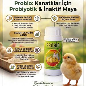 Probio Doğal Koruyucu ve Verim Artırıcı Probiyotik